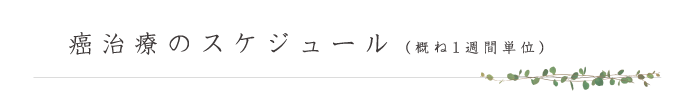 癌治療のスケジュール（概ね1週間単位）