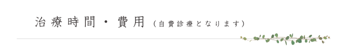 治療時間、費用（自費診療となります）