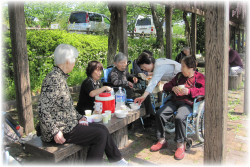 天の花の雰囲気