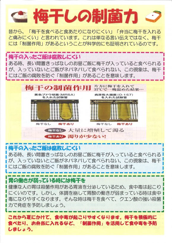 中面2